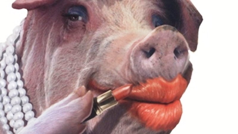 File:Lipstick on a pig.jpg