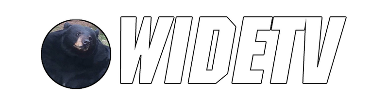 File:WIDETV Logo White Border BG S.png