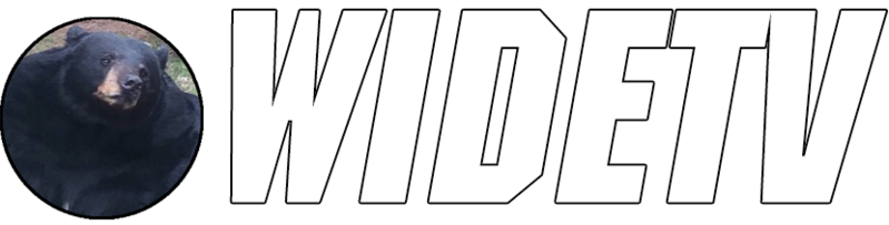 File:WIDETV Logo White Border.png