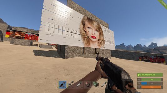 Taylor redecorating a pubbies base in Rust.
