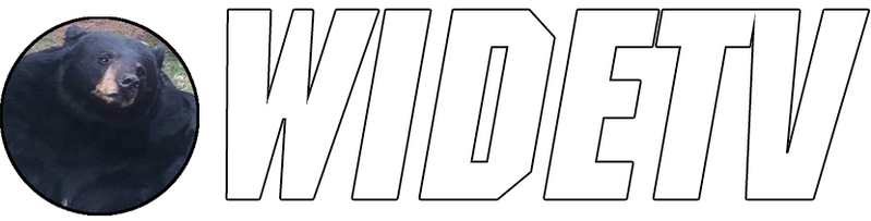 File:WIDETV Logo White Border BG.png